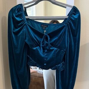 Blu Pepper Teal Velvet Blouse NWT